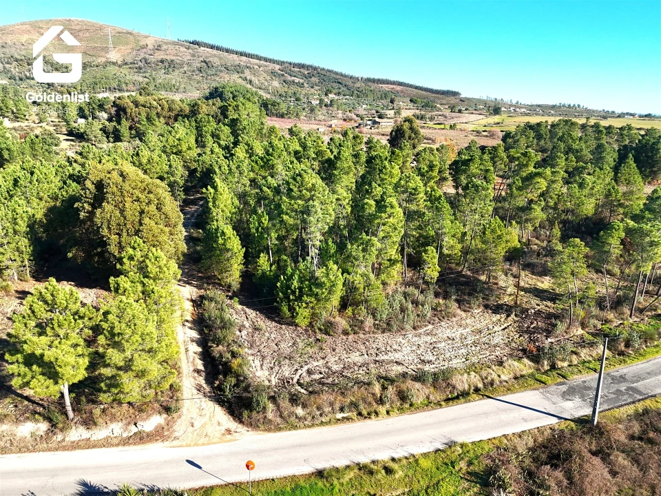 Quinta T0 para Venda em Vale de Prazeres e Mata da Rainha Foto 6