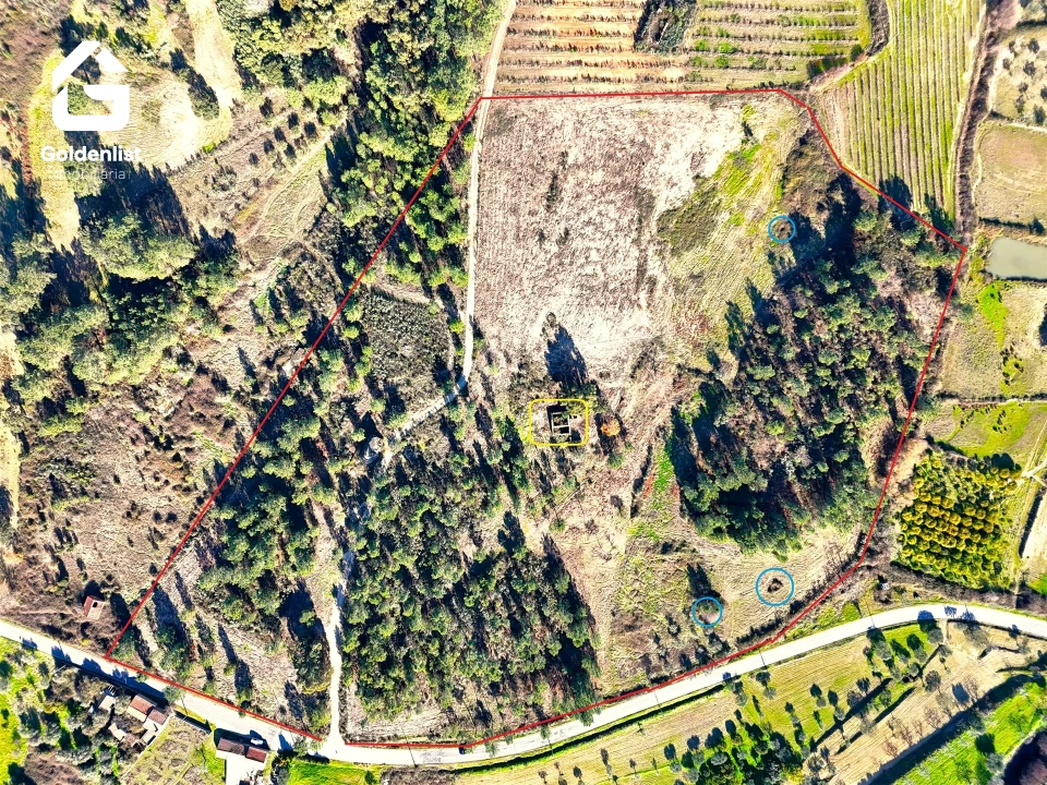 Quinta T0 para Venda em Vale de Prazeres e Mata da Rainha Foto 18