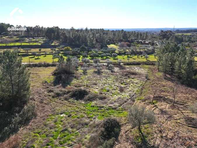 Quinta T0 para Venda em Vale de Prazeres e Mata da Rainha Foto 8