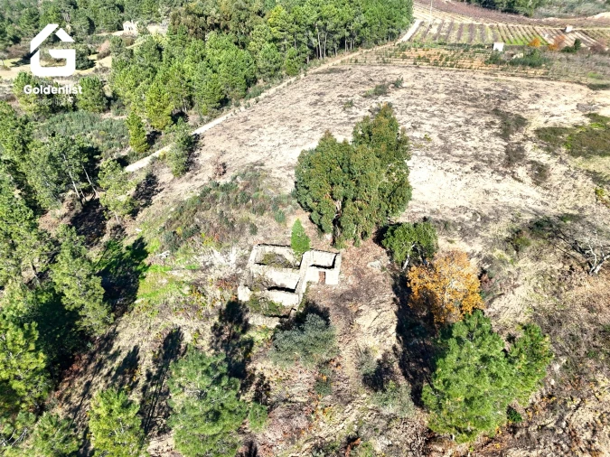 Quinta T0 para Venda em Vale de Prazeres e Mata da Rainha Foto 13