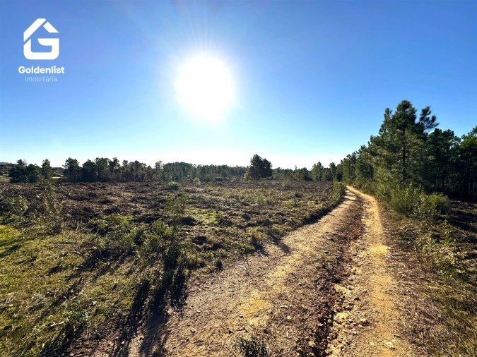 Quinta T0 para Venda em Vale de Prazeres e Mata da Rainha Foto 25