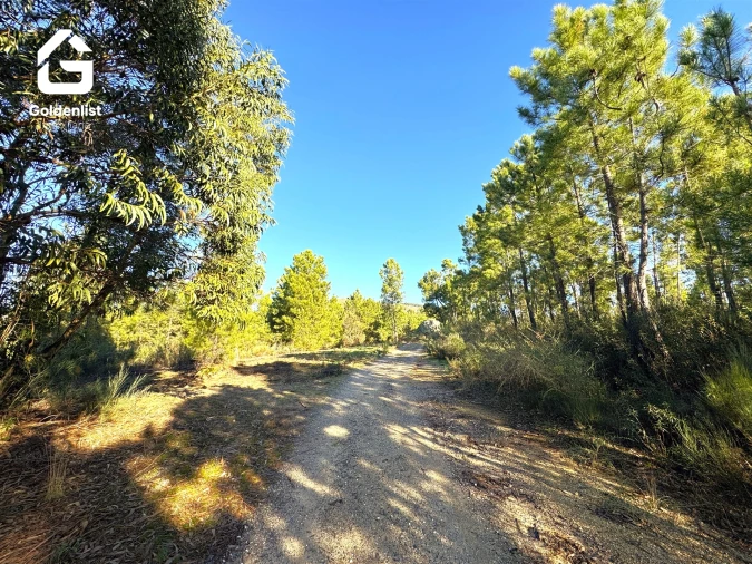 Quinta T0 para Venda em Vale de Prazeres e Mata da Rainha Foto 36
