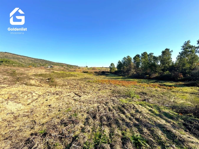 Quinta T0 para Venda em Vale de Prazeres e Mata da Rainha Foto 23