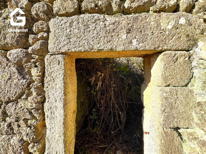 Quinta T0 para Venda em Vale de Prazeres e Mata da Rainha Foto 14