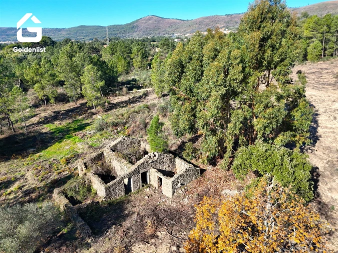 Quinta T0 para Venda em Vale de Prazeres e Mata da Rainha Foto 3
