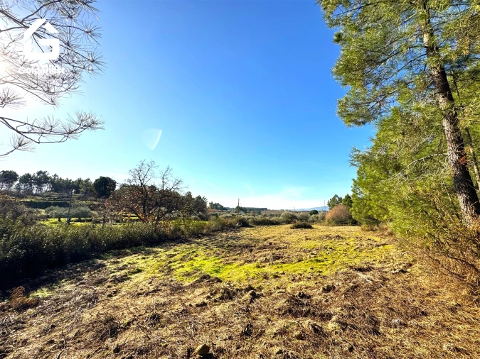 Quinta T0 para Venda em Vale de Prazeres e Mata da Rainha Foto 29