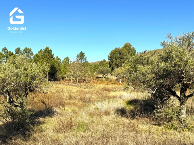 Quinta T0 para Venda em Vale de Prazeres e Mata da Rainha Foto 32