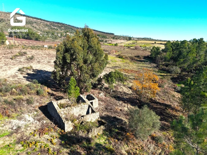 Quinta T0 para Venda em Vale de Prazeres e Mata da Rainha Foto 4