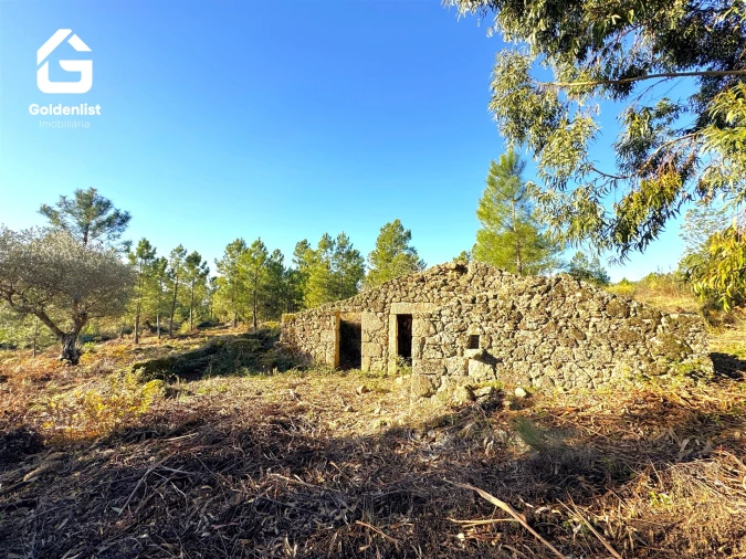 Quinta T0 para Venda em Vale de Prazeres e Mata da Rainha Foto 11