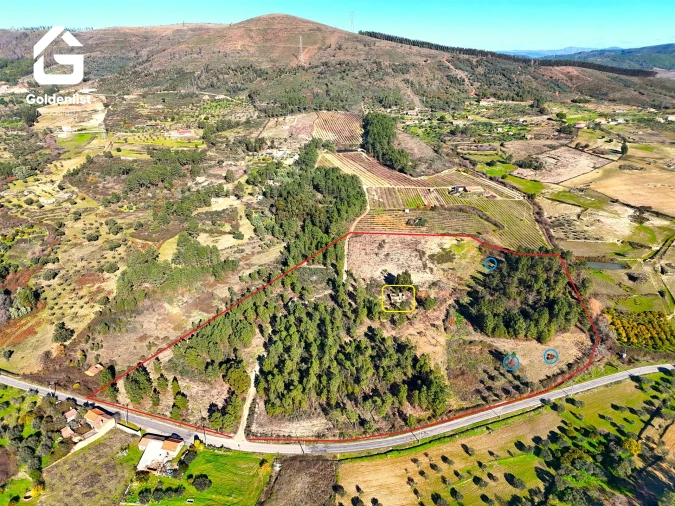 Quinta T0 para Venda em Vale de Prazeres e Mata da Rainha Foto 1