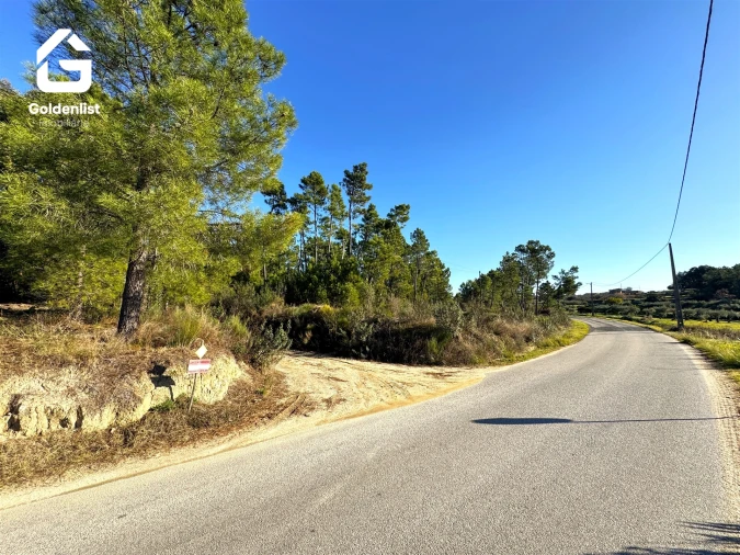 Quinta T0 para Venda em Vale de Prazeres e Mata da Rainha Foto 35