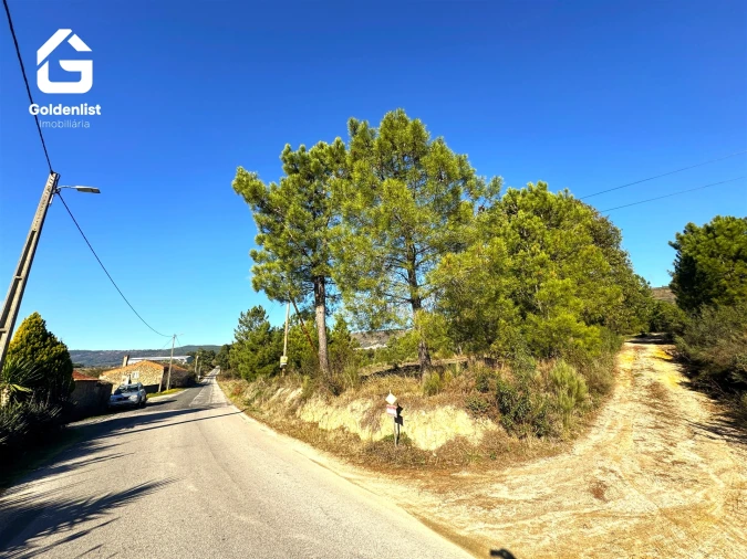 Quinta T0 para Venda em Vale de Prazeres e Mata da Rainha Foto 34