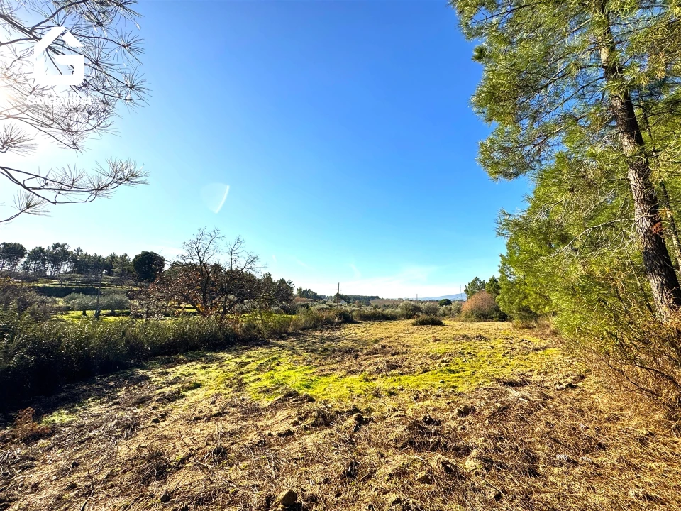 Quinta T0 para Venda em Vale de Prazeres e Mata da Rainha Foto 29