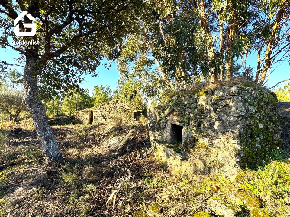 Quinta T0 para Venda em Vale de Prazeres e Mata da Rainha Foto 9