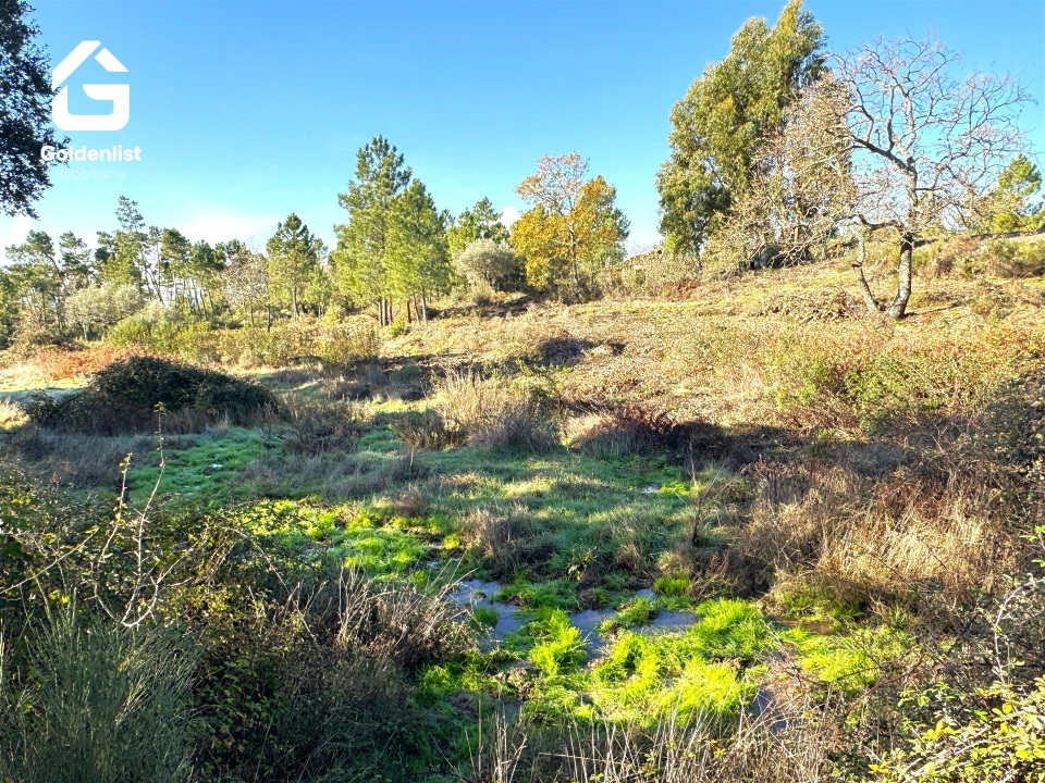 Quinta T0 para Venda em Vale de Prazeres e Mata da Rainha Foto 26