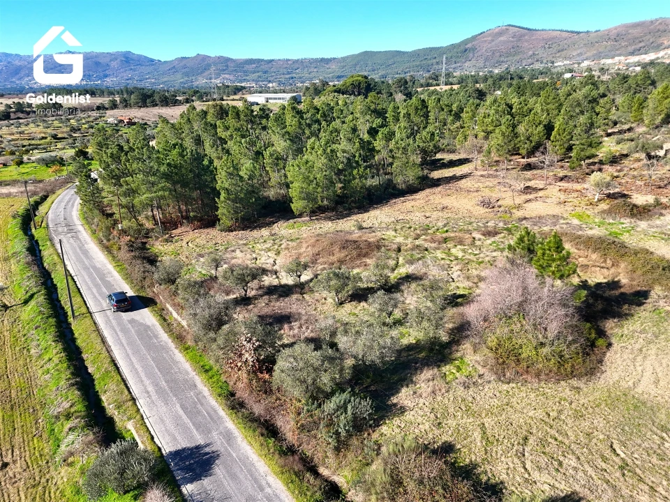Quinta T0 para Venda em Vale de Prazeres e Mata da Rainha Foto 7