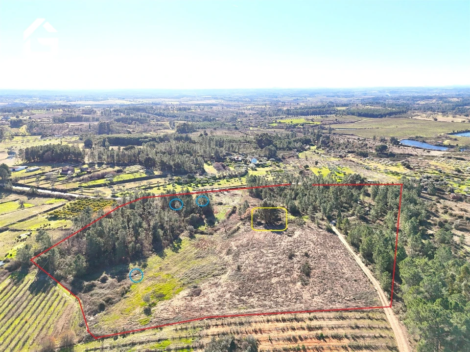Quinta T0 para Venda em Vale de Prazeres e Mata da Rainha Foto 20
