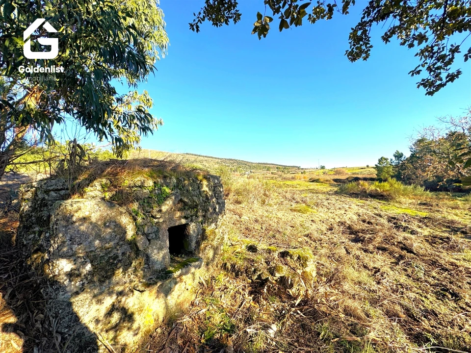 Quinta T0 para Venda em Vale de Prazeres e Mata da Rainha Foto 17