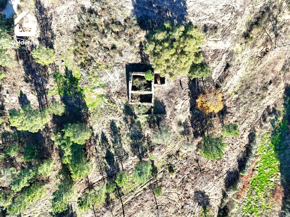 Quinta T0 para Venda em Vale de Prazeres e Mata da Rainha Foto 12
