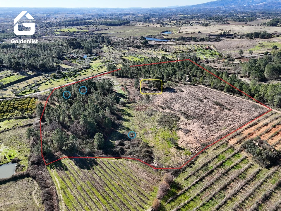 Quinta T0 para Venda em Vale de Prazeres e Mata da Rainha Foto 2