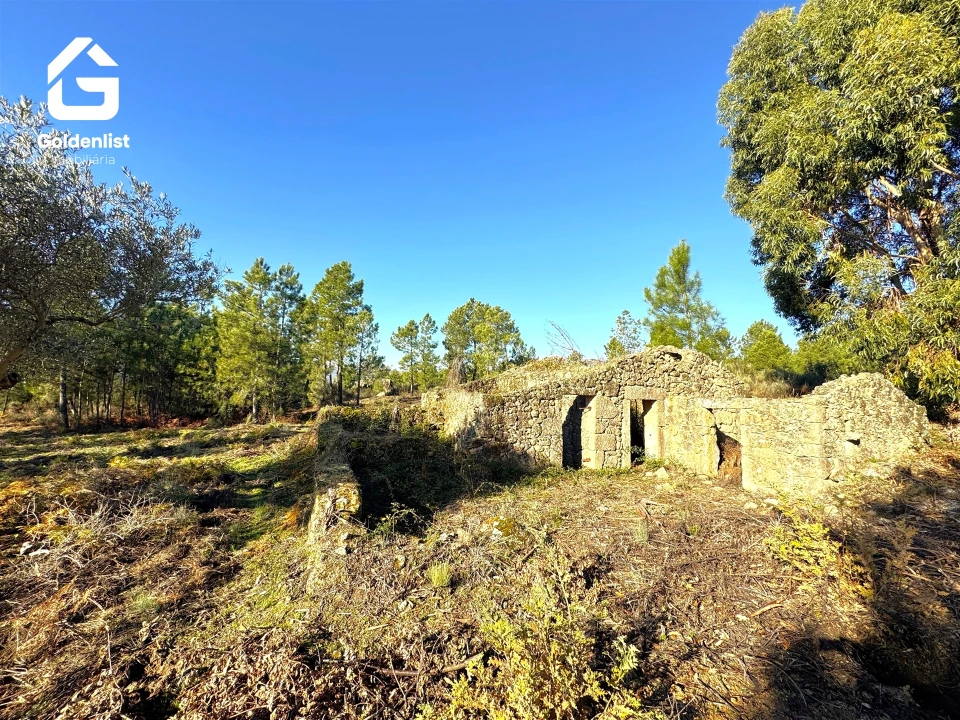 Quinta T0 para Venda em Vale de Prazeres e Mata da Rainha Foto 15