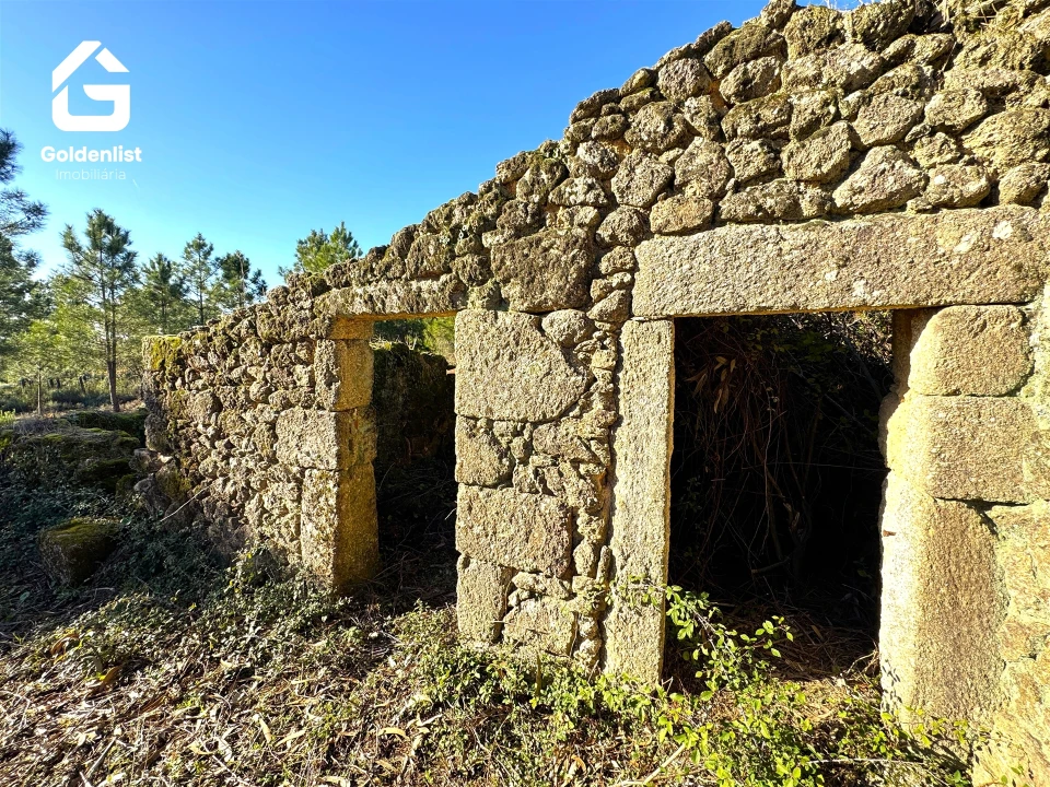 Quinta T0 para Venda em Vale de Prazeres e Mata da Rainha Foto 16