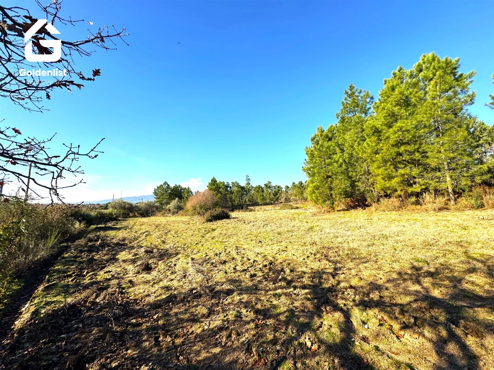 Quinta T0 para Venda em Vale de Prazeres e Mata da Rainha Foto 28
