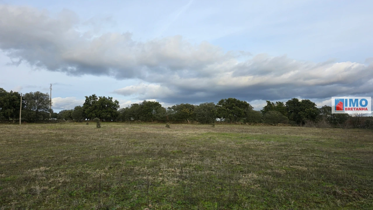 Terreno para Venda em Idanha-A-Nova e Alcafozes Foto 9