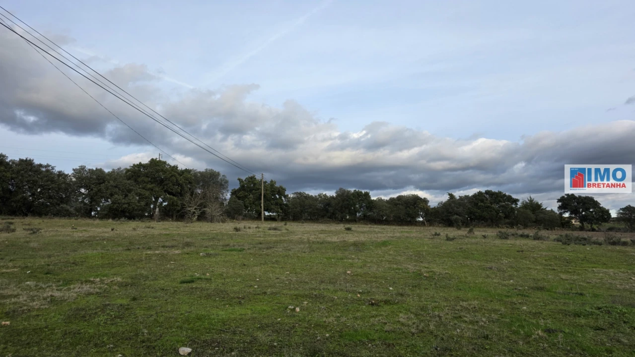 Terreno para Venda em Idanha-A-Nova e Alcafozes Foto 11