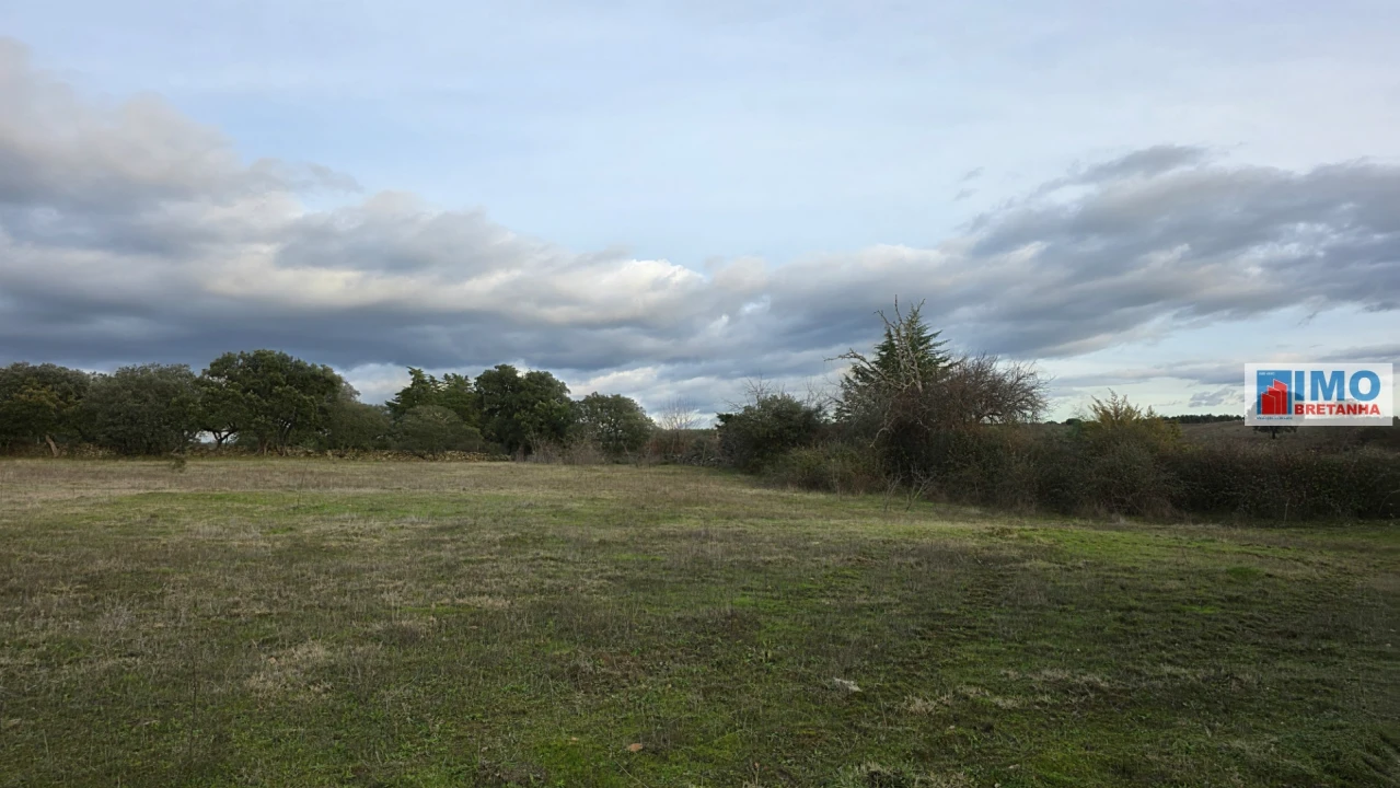 Terreno para Venda em Idanha-A-Nova e Alcafozes Foto 8
