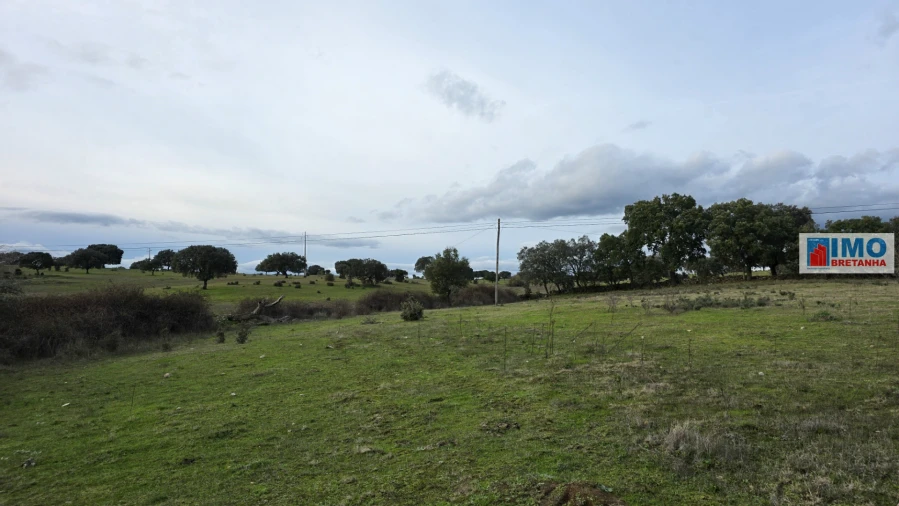 Terreno para Venda em Idanha-A-Nova e Alcafozes Foto 5