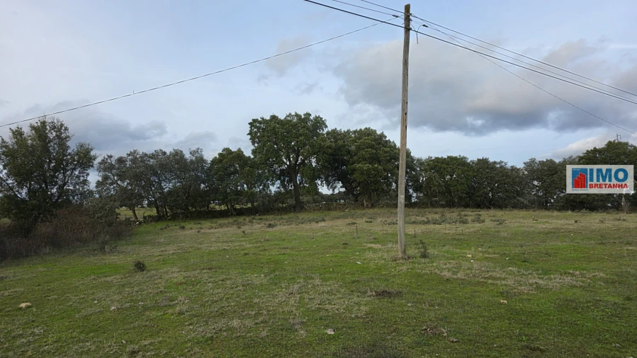 Terreno para Venda em Idanha-A-Nova e Alcafozes Foto 10