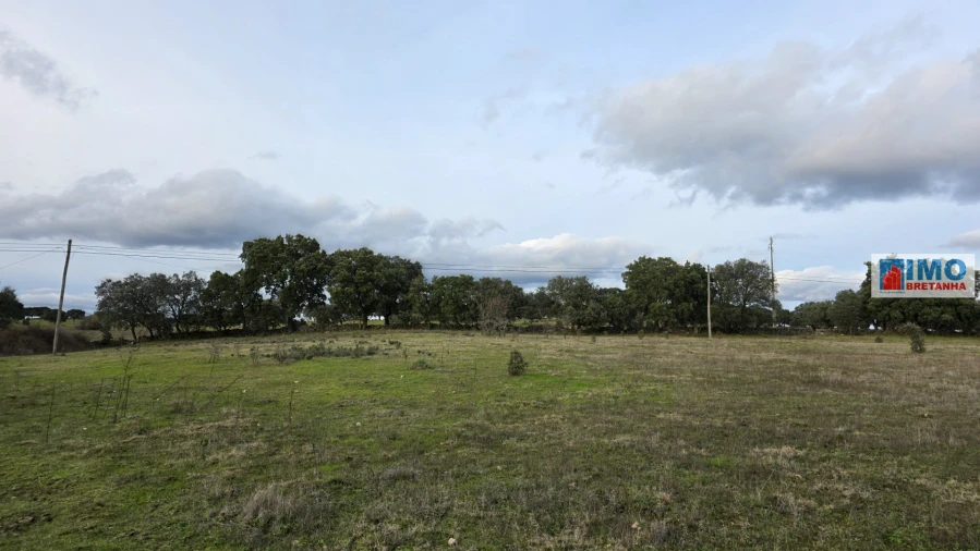 Terreno para Venda em Idanha-A-Nova e Alcafozes Foto 6
