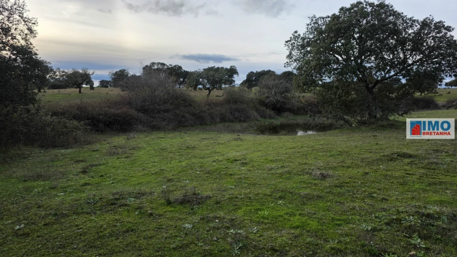 Terreno para Venda em Idanha-A-Nova e Alcafozes Foto 1