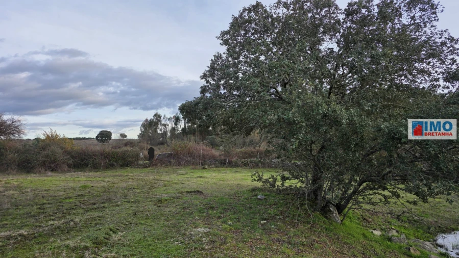 Terreno para Venda em Idanha-A-Nova e Alcafozes Foto 7