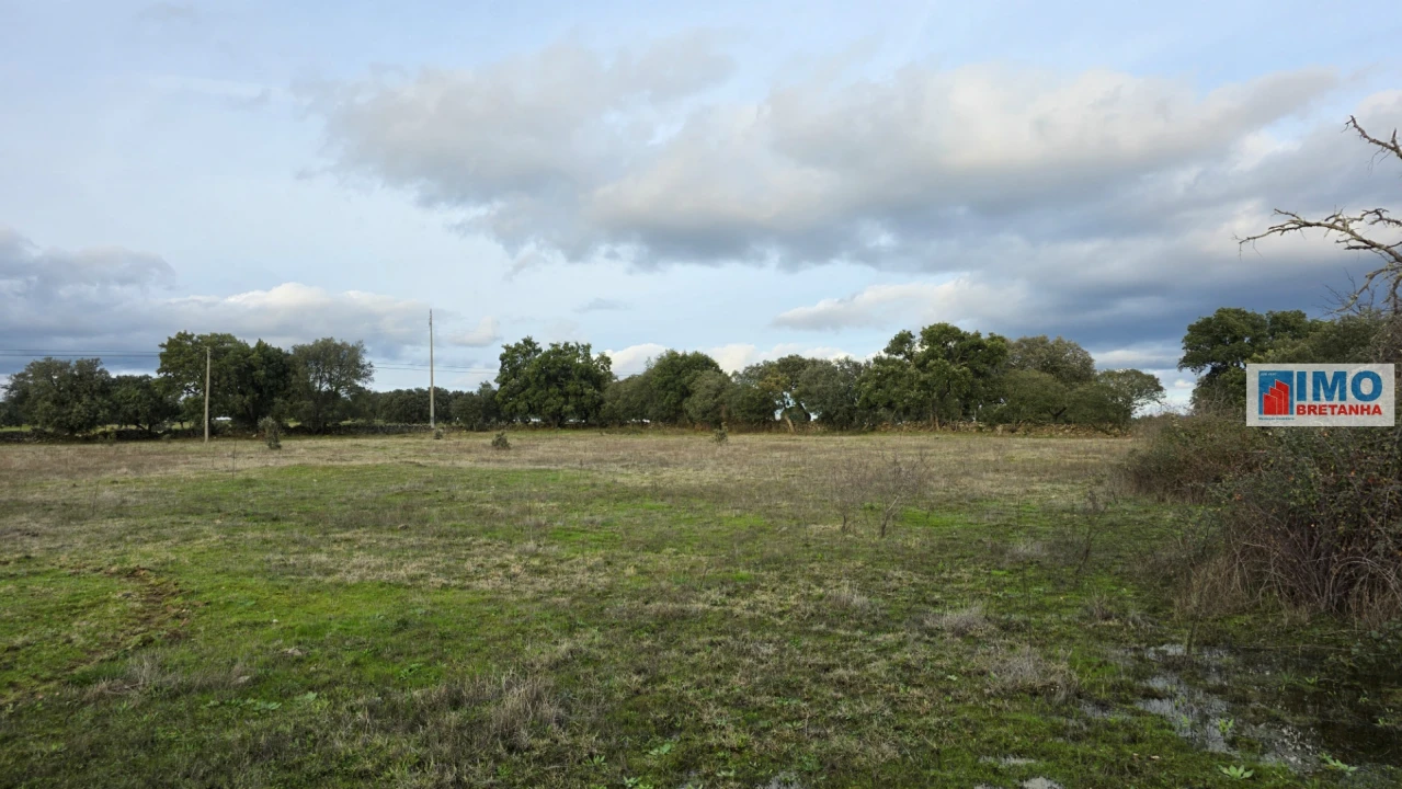 Terreno para Venda em Idanha-A-Nova e Alcafozes Foto 3