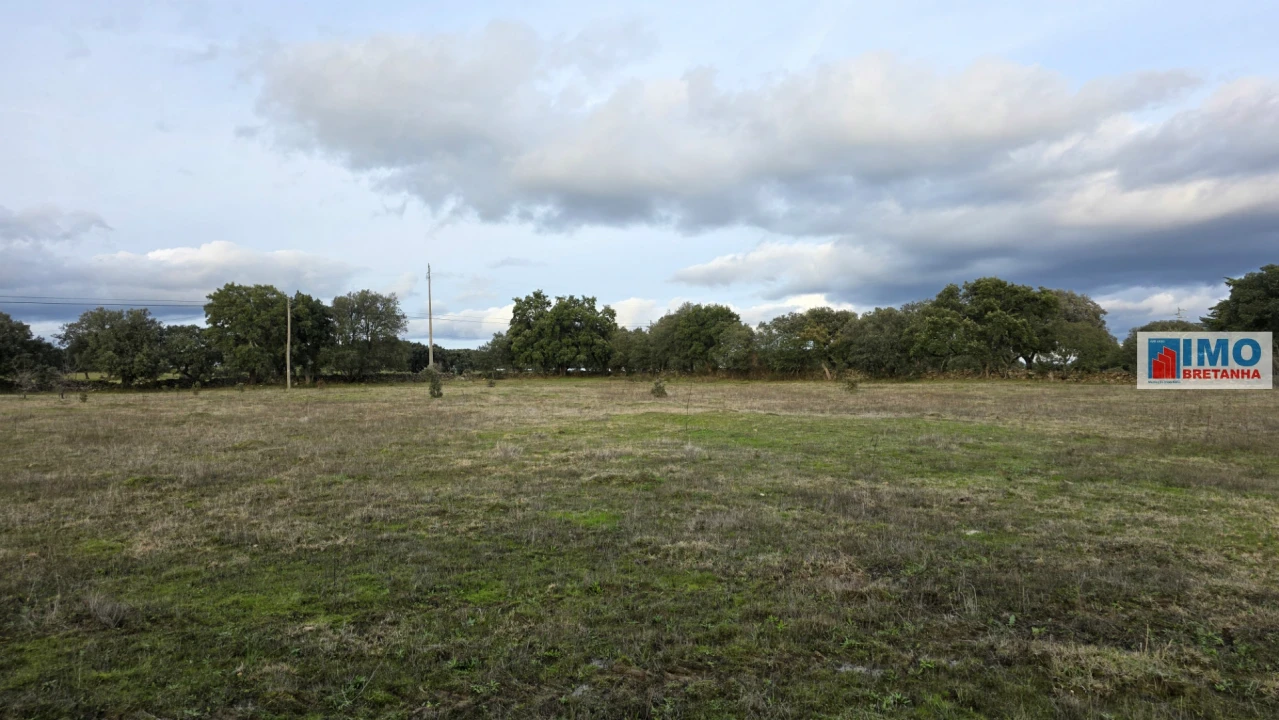 Terreno para Venda em Idanha-A-Nova e Alcafozes Foto 4