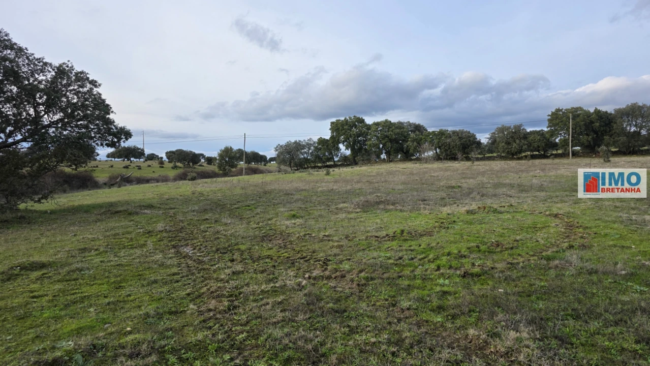 Terreno para Venda em Idanha-A-Nova e Alcafozes Foto 2