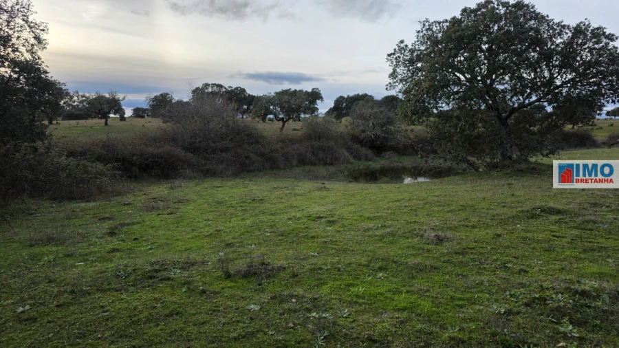 Terreno para Venda em Idanha-A-Nova e Alcafozes