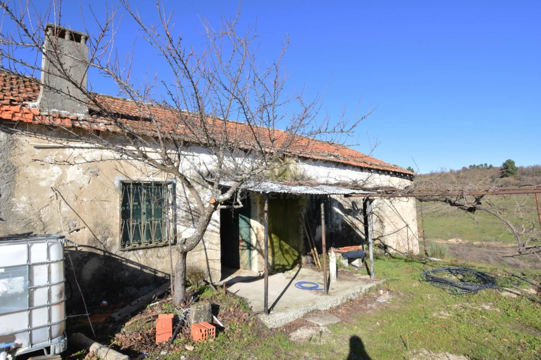 Quinta T0 para Venda em Teixoso e Sarzedo Foto 13