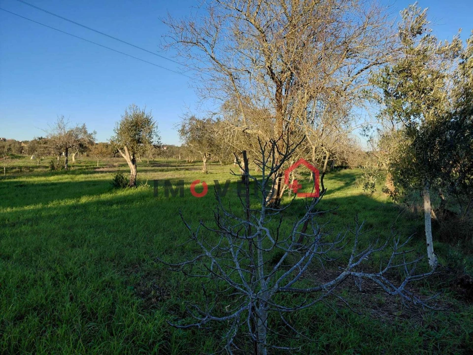 Moradia T3 para Venda em Atouguia Foto 8