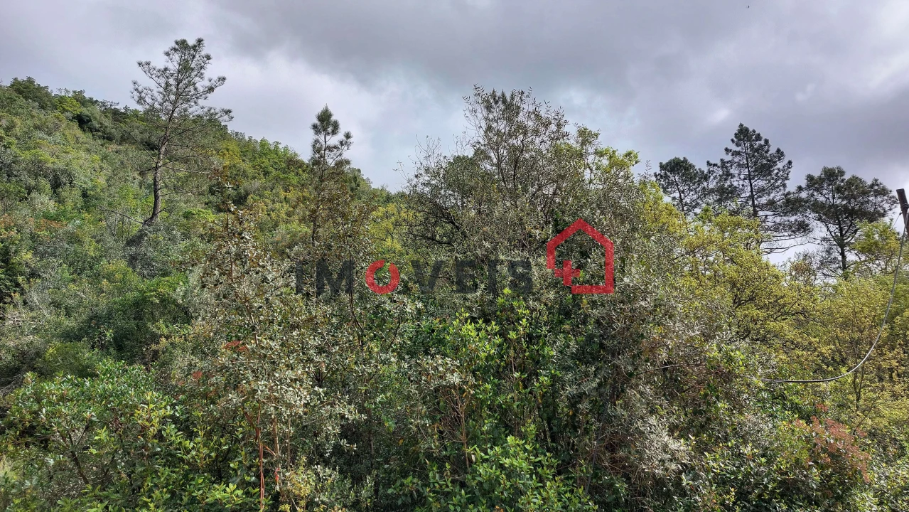 Terreno para Venda em Atouguia Foto 1