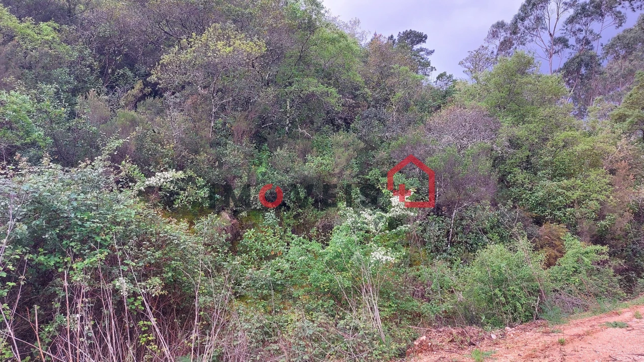 Terreno para Venda em Atouguia Foto 4