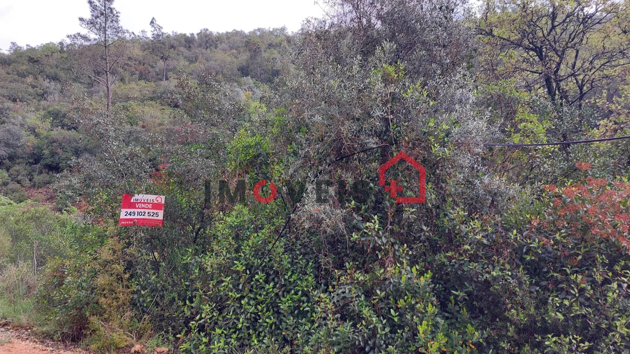 Terreno para Venda em Atouguia Foto 5