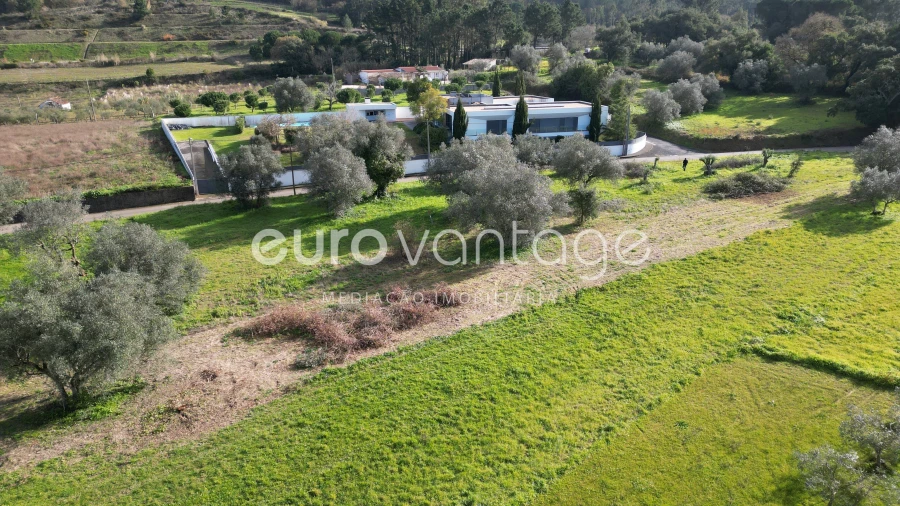 Terreno para Venda em Souto da Carpalhosa e Ortigosa Foto 6