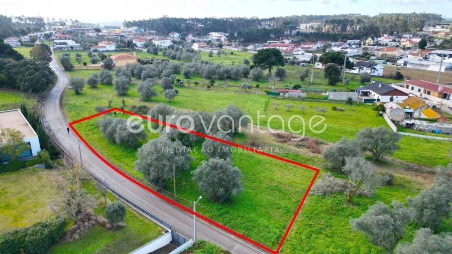 Terreno para Venda em Souto da Carpalhosa e Ortigosa Foto 5