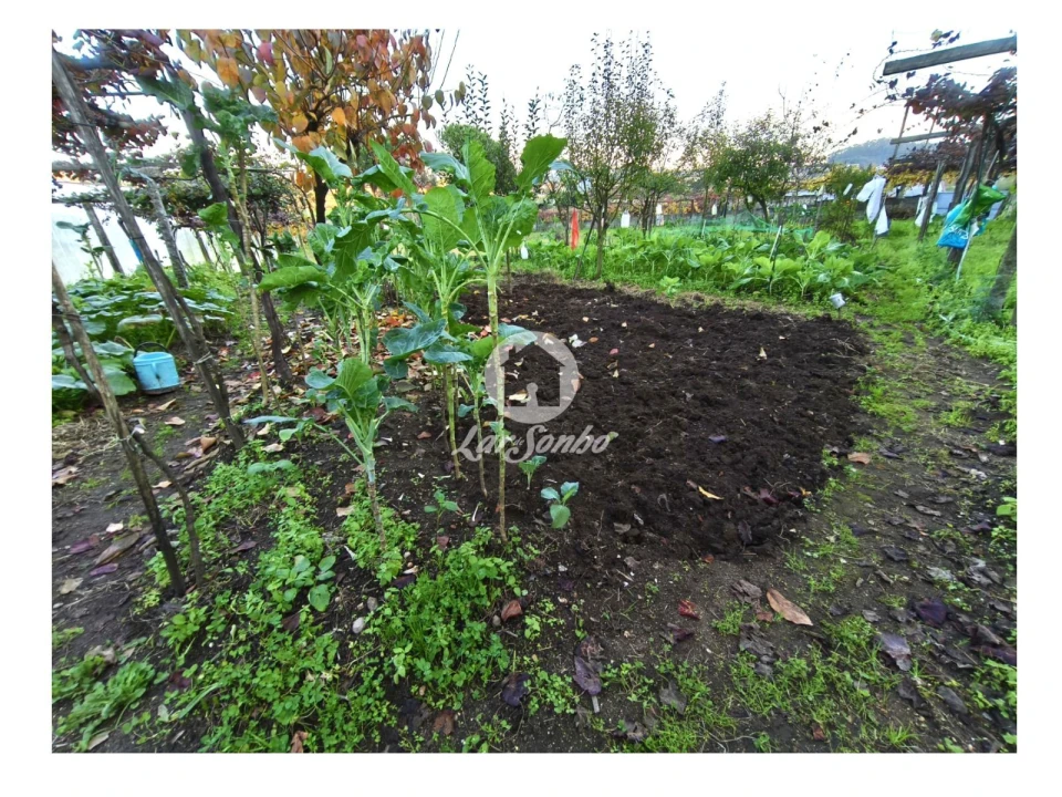 Terreno para Venda em Carvalhal Foto 13