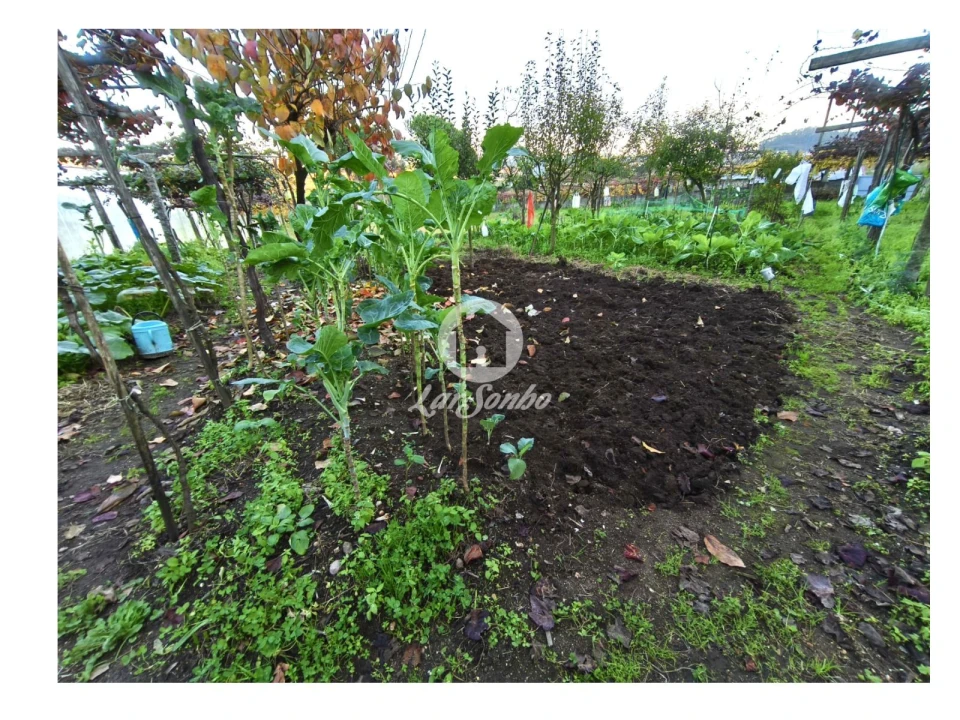 Terreno para Venda em Carvalhal Foto 14