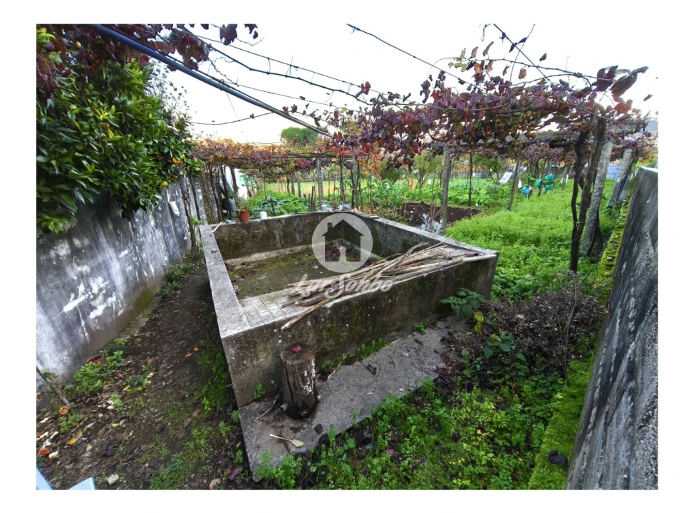 Terreno para Venda em Carvalhal Foto 15