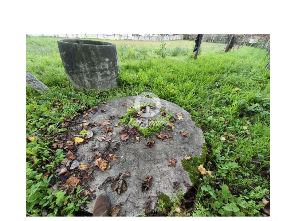 Terreno para Venda em Carvalhal Foto 17